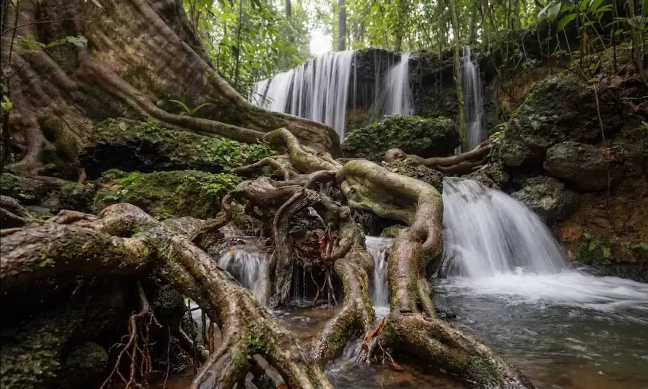 Agumbe