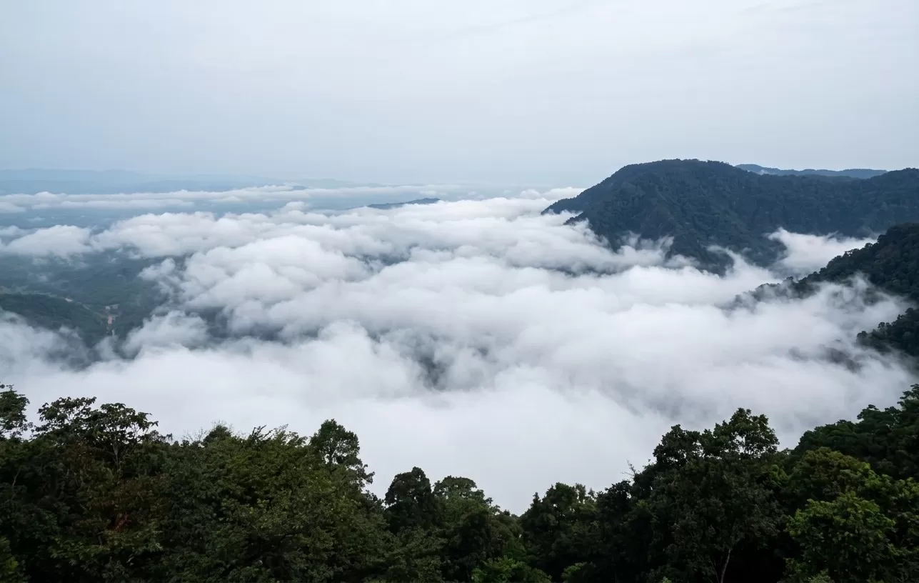Agumbe
