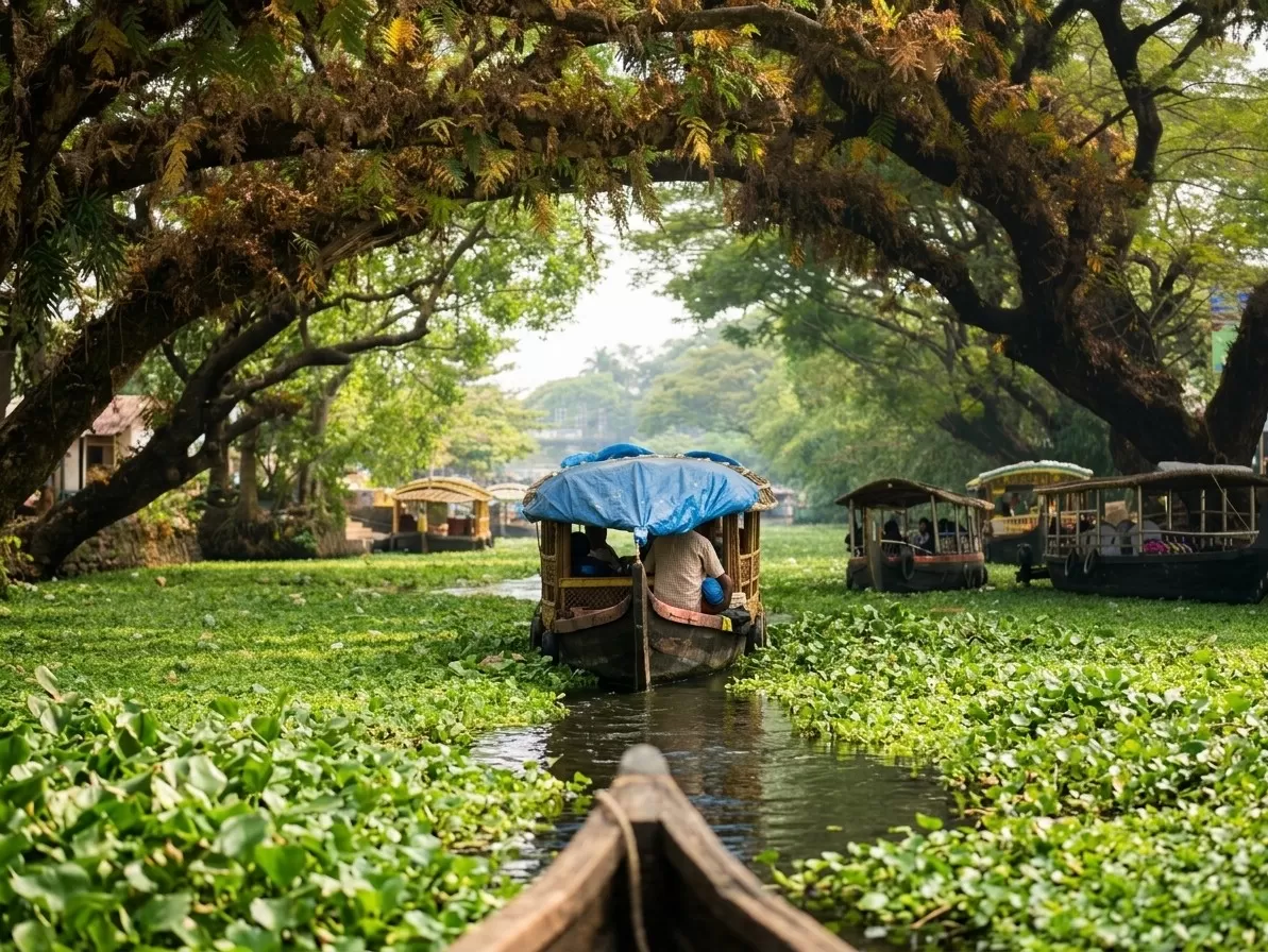 Alappuzha (Alleppey)