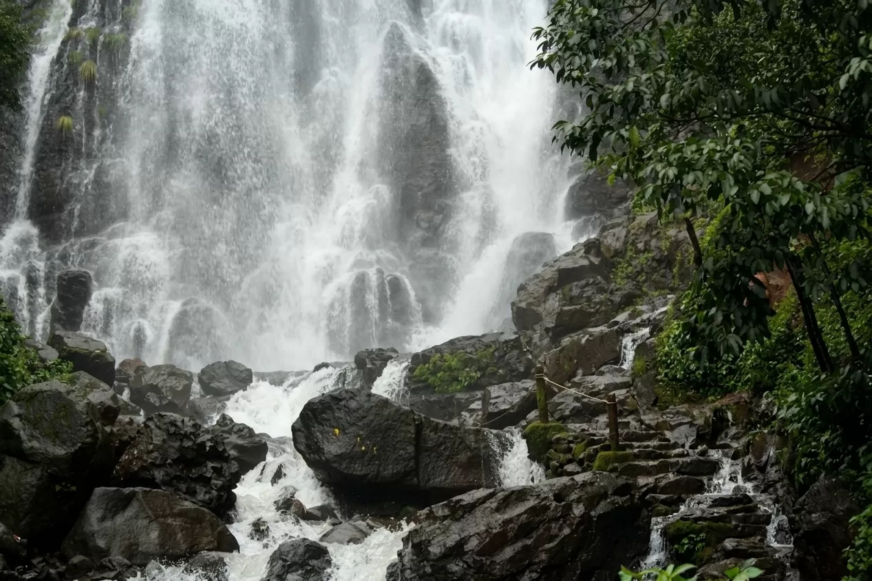 Amboli