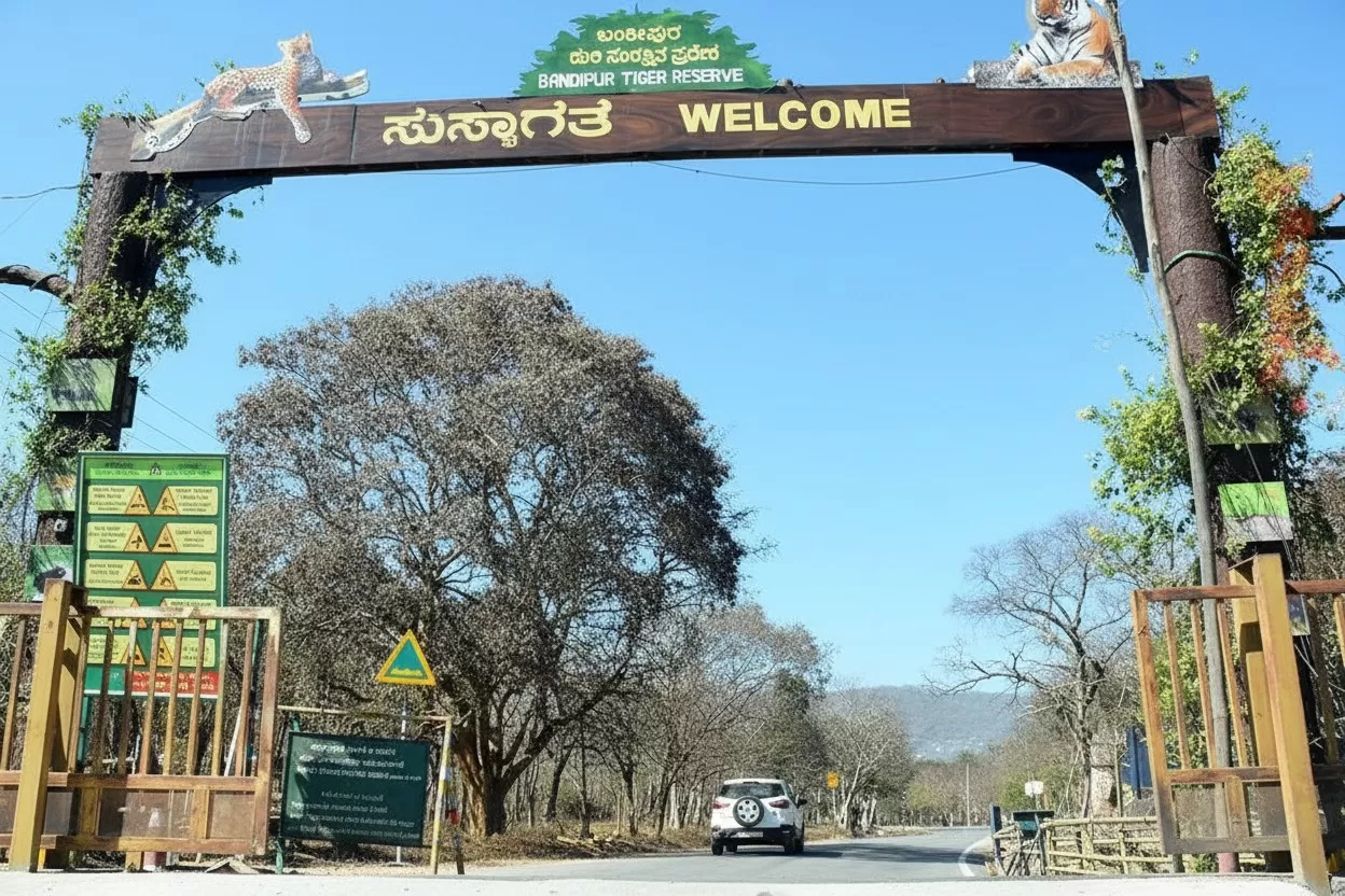 Bandipur National Park