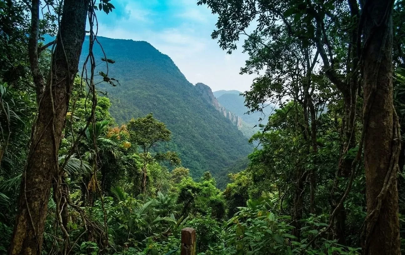 Daringbadi