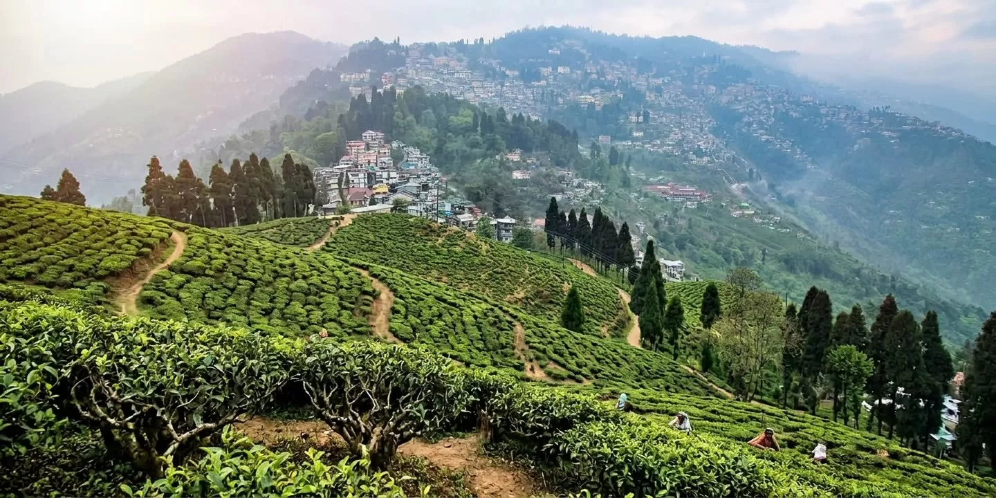 Darjeeling