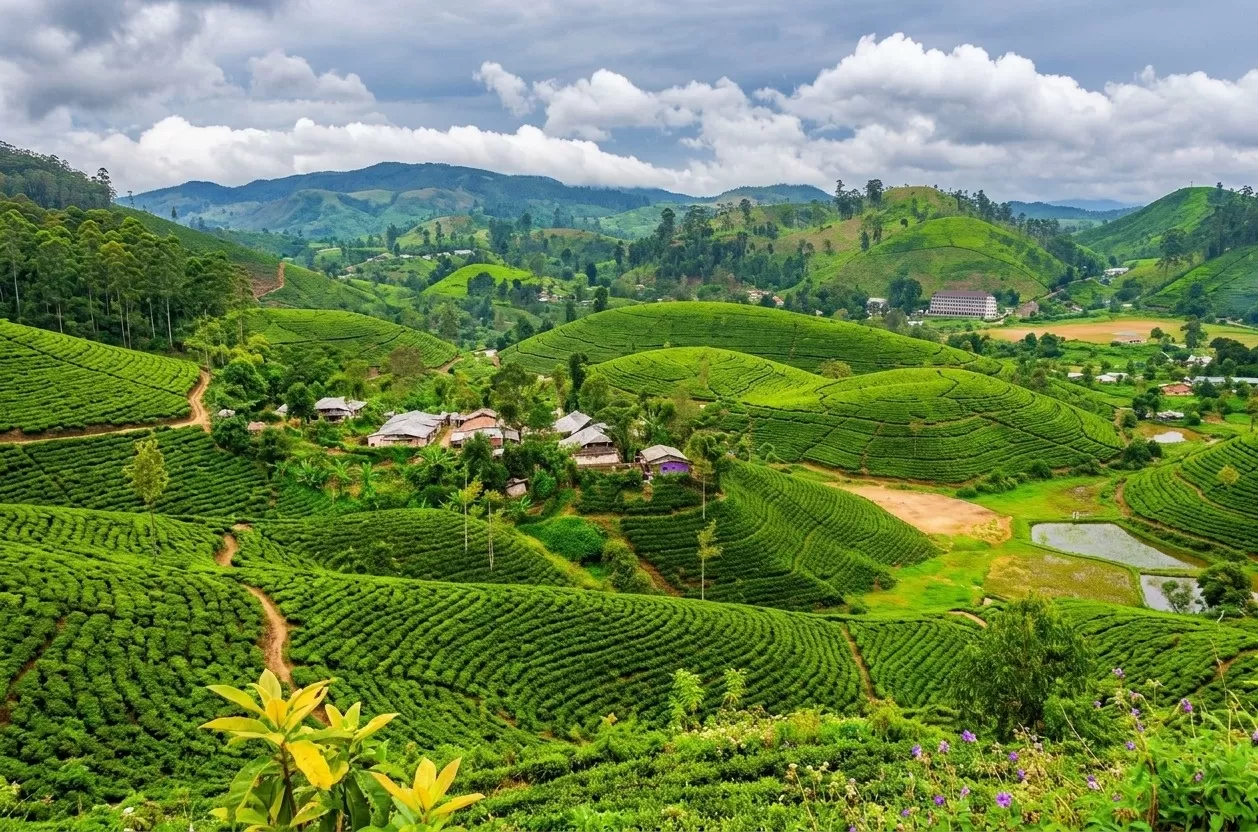 Darjeeling