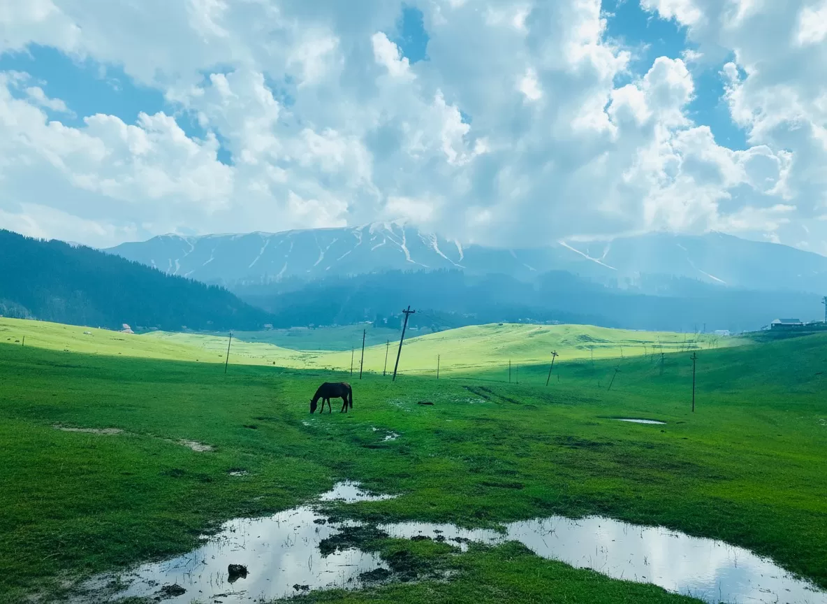 Gulmarg