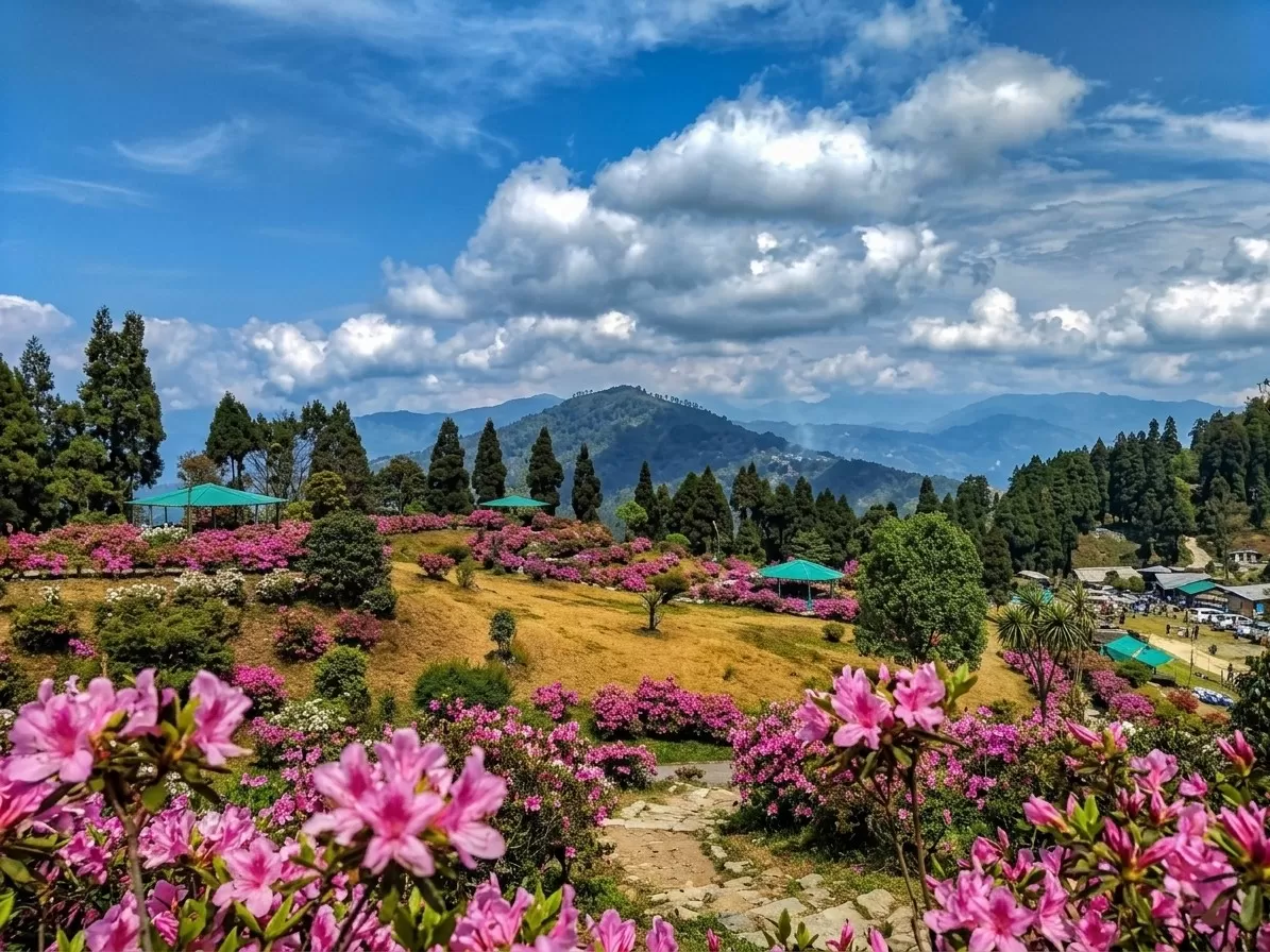 Kalimpong