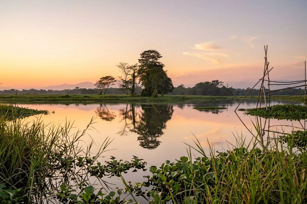 Majuli