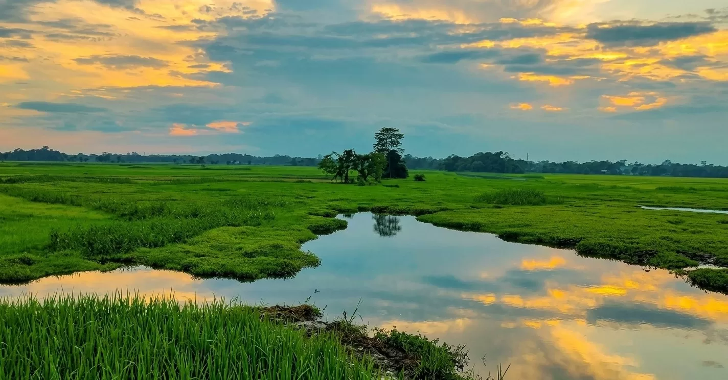 Majuli
