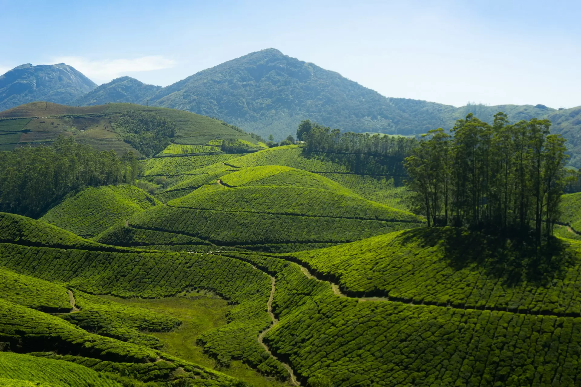 Munnar