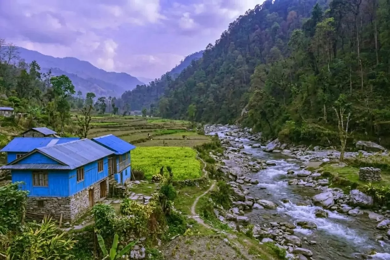 Pelling