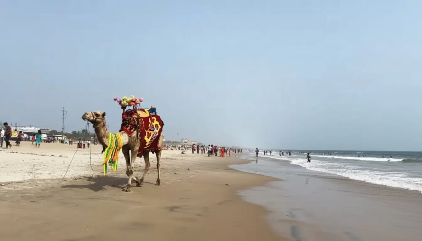 Puri Beach / Golden Beach