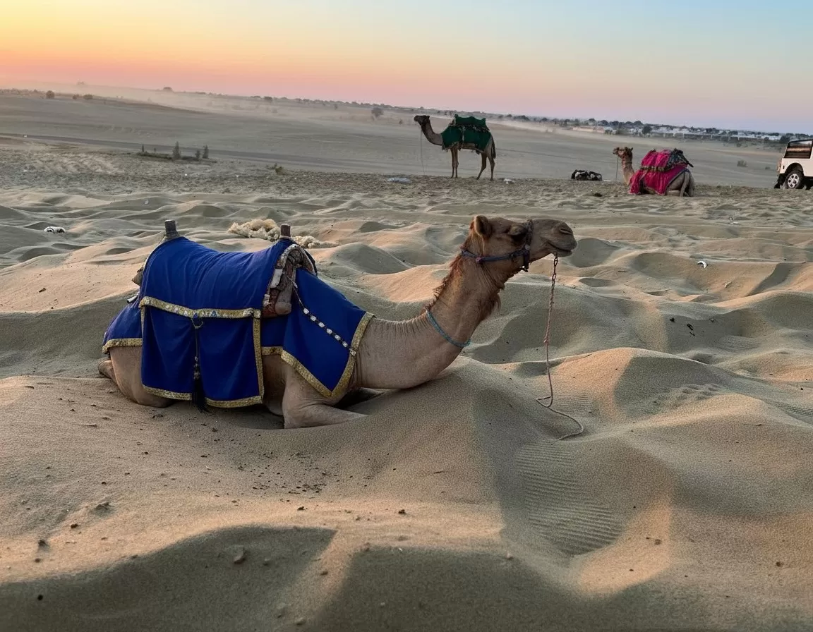 Sam Sand Dunes