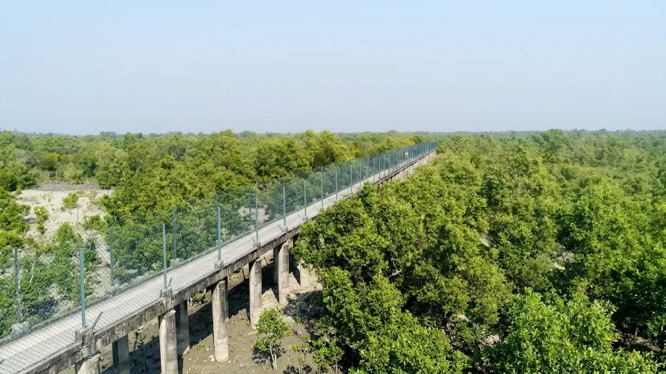 Sundarbans
