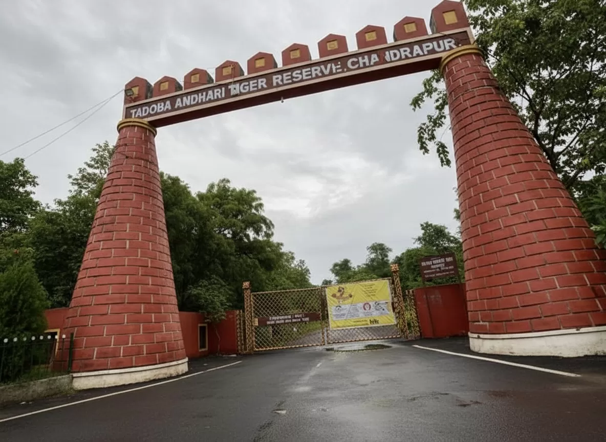 तादोबा राष्ट्रीय उद्यान