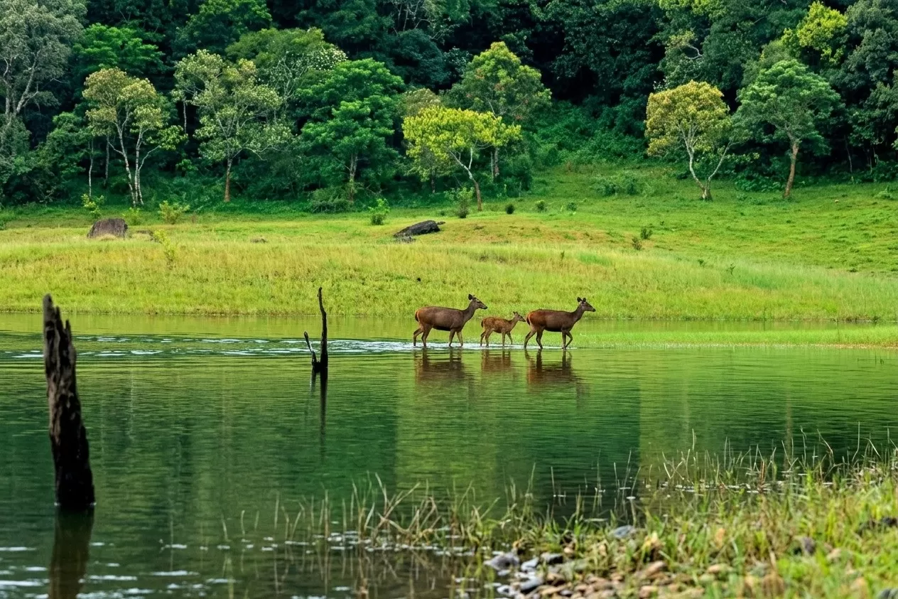 Thekkady
