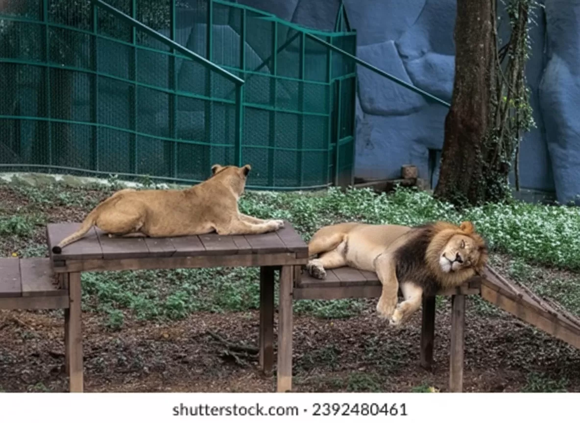 Thiruvananthapuram Zoo