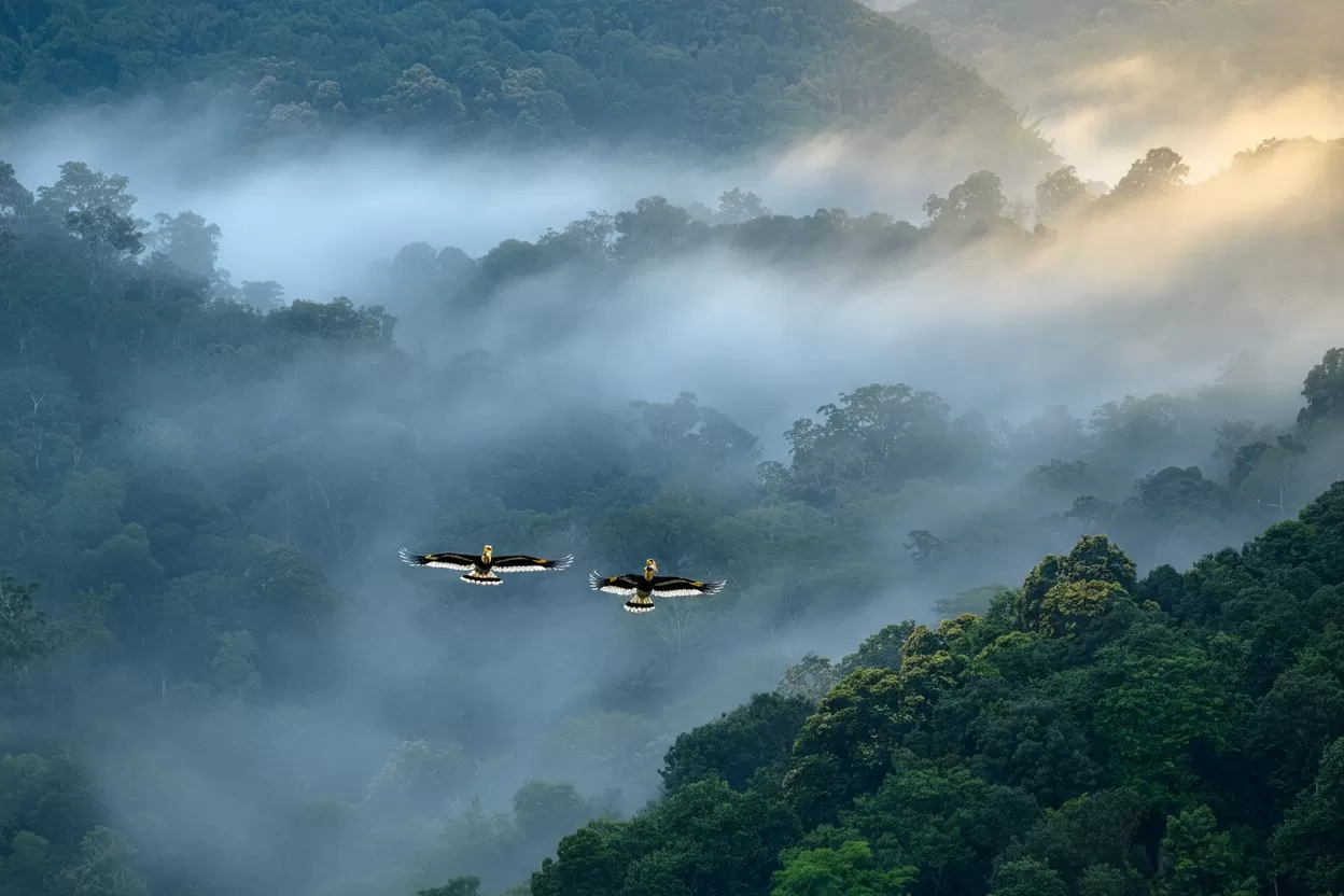 Valparai