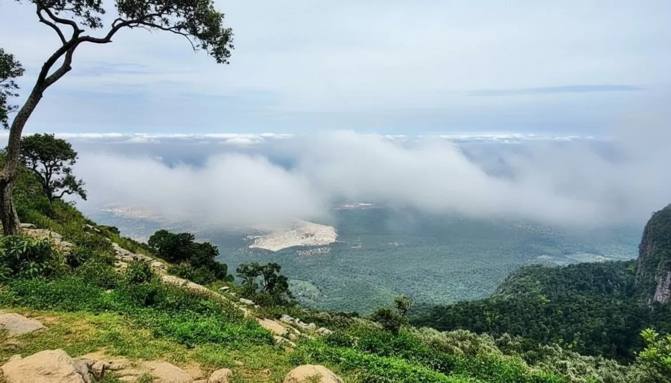 Yercaud