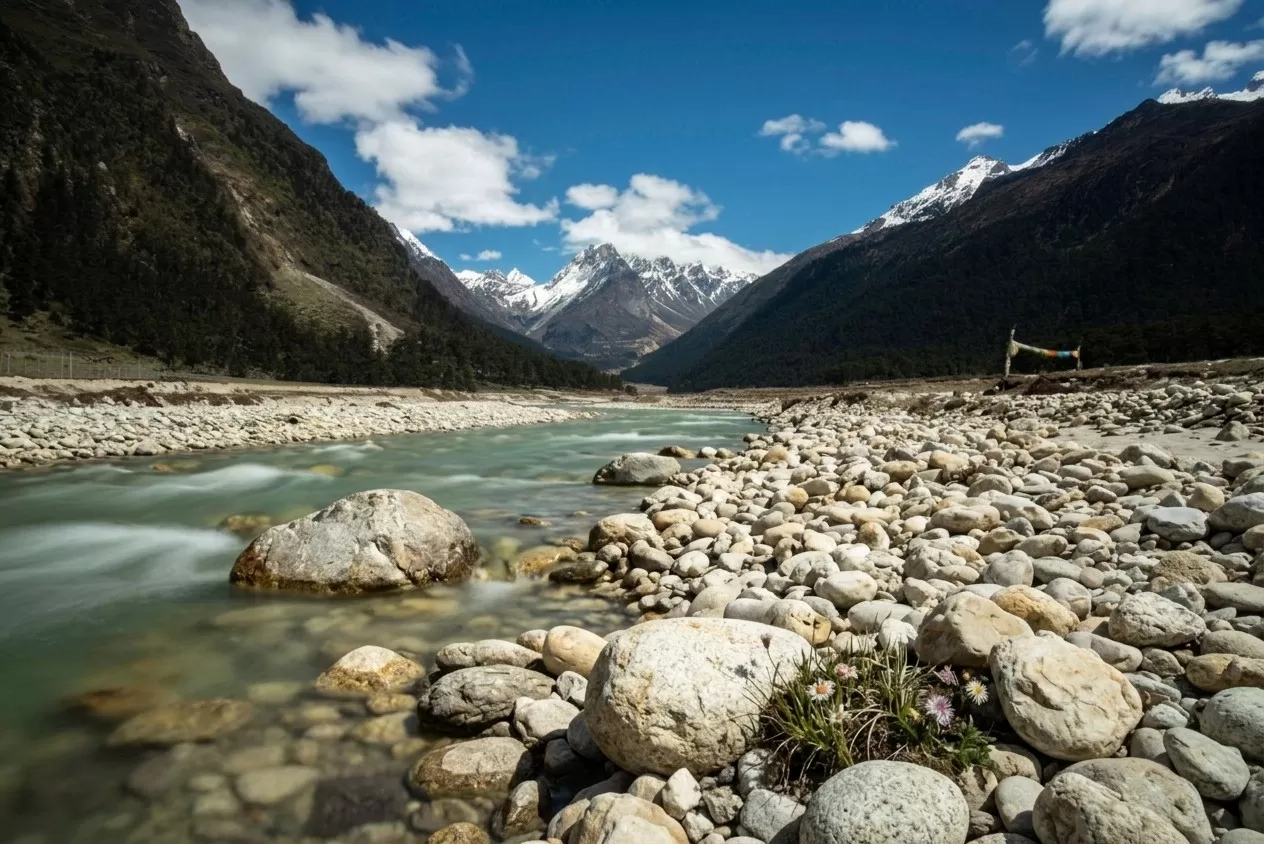 Yumthang Valley
