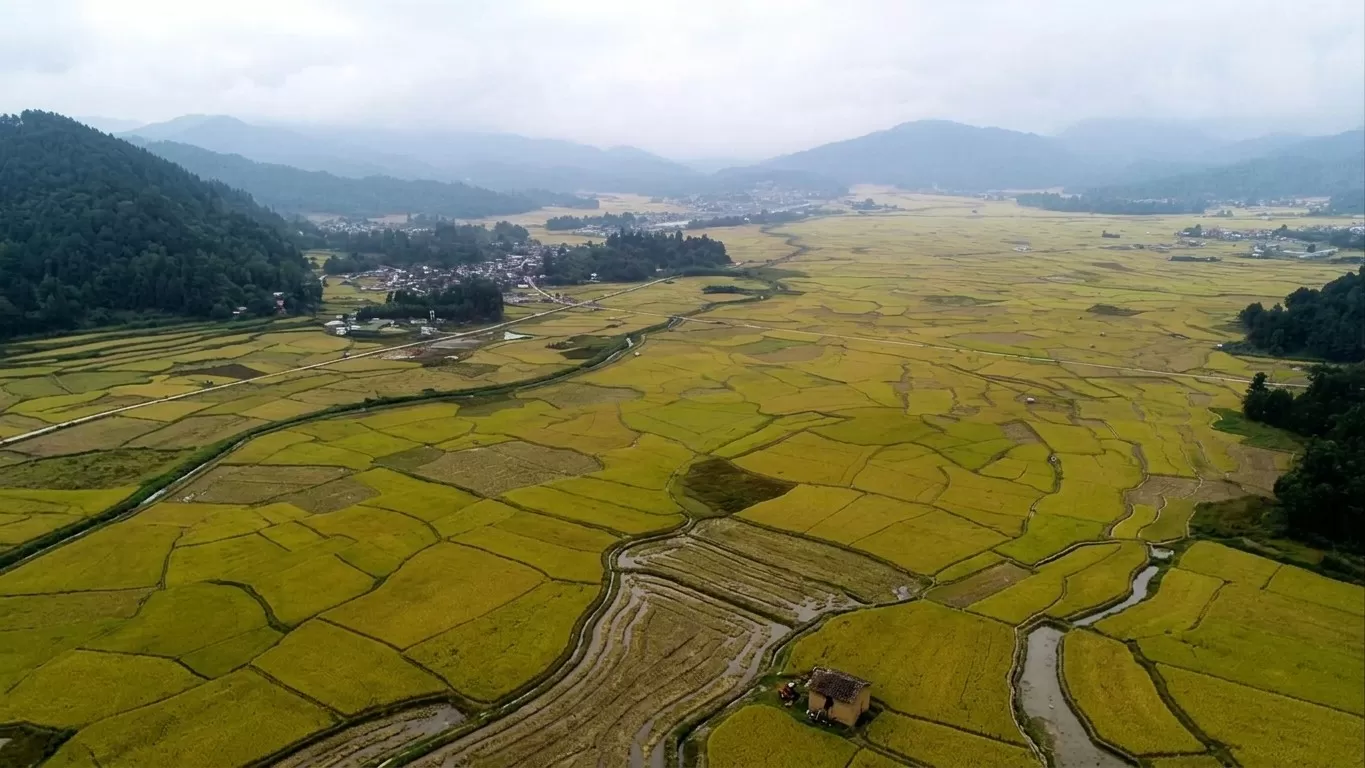 Ziro Valley