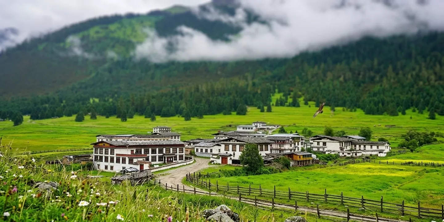Ziro Valley
