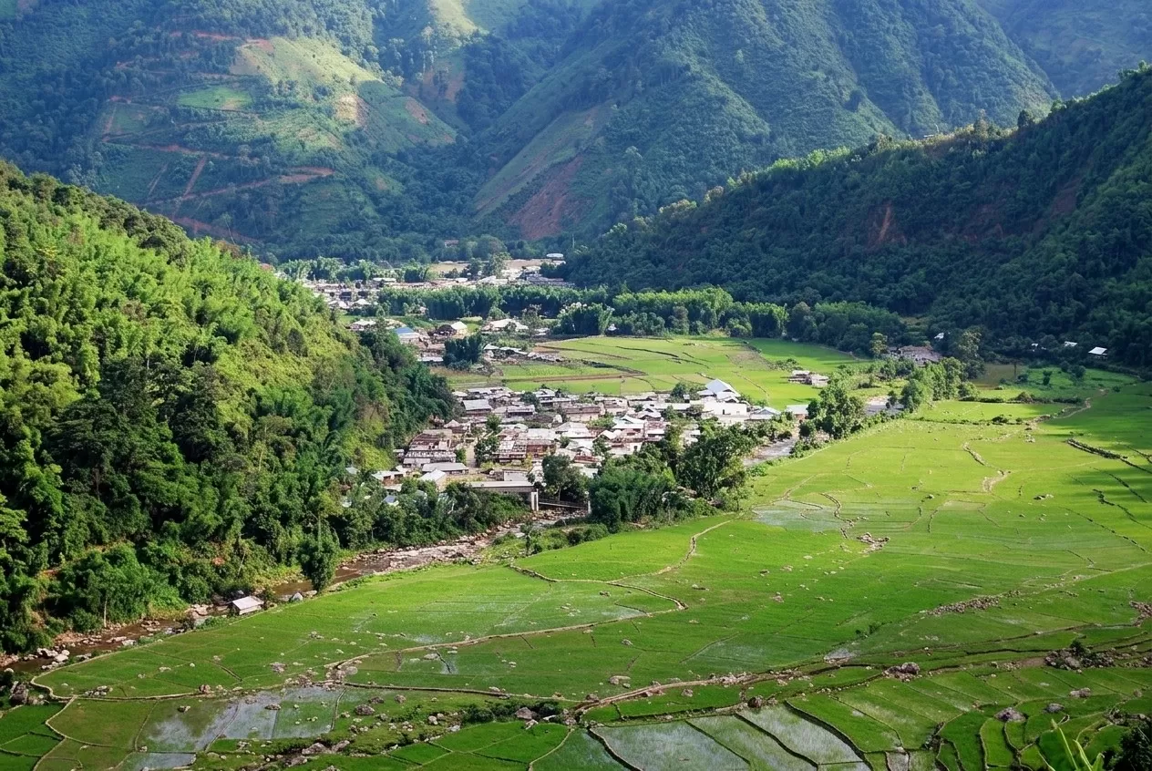 Ziro Valley